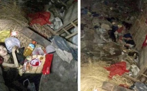 Ses parents l'ont enfermée dans un cabanon, elle s'y trouve depuis 6 ans !