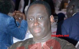 Aliou Sall : « Je suis éliminé de tout Gouvernement et que personne ne compte sur moi pour revendiquer un poste ministériel »