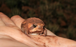 12 choses que vous devriez arrêter de vous faire à vous-même