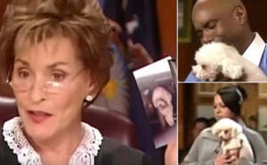 Le couple va au tribunal afin de décider qui gardera le chien. Puis la juge ordonne qu'on pose le chien sur le sol !