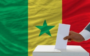 L’intégralité de la question posée au Conseil Constitutionnel, méconnue du grand public ( Par Seybani SOUGOU)