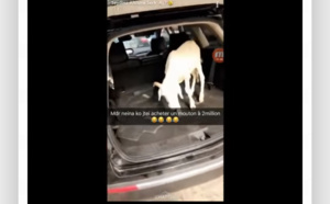 Mouton de Tabaski : La surprise de Seydina Aliou Seck à sa mère Diaga… à mourir de rire!