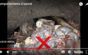 Gestion des Réseaux d’assainissement : les comportements à bannir (vidéo)