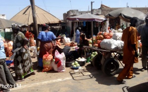 Mboro: une commune qui se meurt (Par Cheikh Ahmed Tidiane Sall)