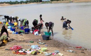 Sans eau depuis plusieurs jours: Les populations de Ndioum se désaltèrent dans les marigots