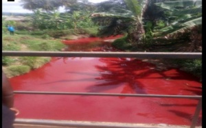 Ghana : un cours d’eau se transforme en mare de sang (vidéo)