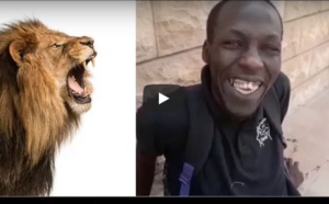 Patin et son rendez-vous avec les lions du Parc de Hann... A mourir de rire