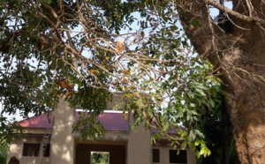 Droit de réponse - Ziguinchor : Les cours de l’Université Assane Seck se déroulent dans des conteneurs