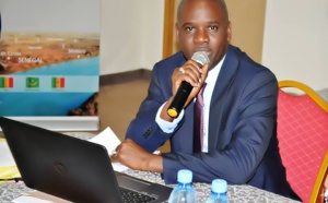 Lettre ouverte sur le nouveau schéma du PDIDAS (Par Pr Ibrahima Arona DIALLO)