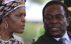 Zimbabwe : Le limogeage du « crocodile », la cause d’un coup d’Etat qui ne dit pas son nom