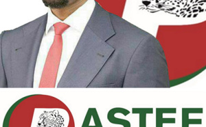 Lettre adressée à l’Honorable Député Ousmane Sonko ( par Assane Bocar NIANE )