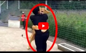 Un lion retrouve son maître après 7 ans. Regardez, vous allez être choqué !