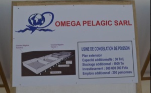 Sandiara: Inauguration d'une usine de transformation et d’exportation de produits de pêche