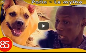 Patin affronte un chien méchant... Regardez la suite ....à mourir de rire!!