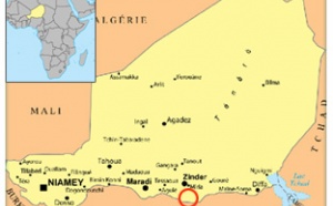 SITUATION POLITIQUE CONFUSE AU NIGER : L’AFRIQUE, l’ETERNELLE  RISEE  DU MONDE ?