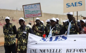 Mouvement d’humeur à l’UCAD : Le SAES dénonce ‘’le sabotage orchestré’’ par les autorités de l’UCAD
