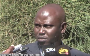 Vidéo-Kaffrine: Les insectes ravagent le maïs, explications de Ousmane Diène