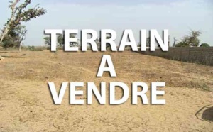 Abus de confiance : Le propriétaire de l’agence immobilière AKI condamné à un mois ferme, et à 50 millions francs Cfa