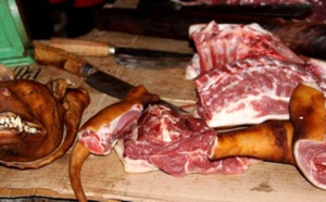 Scandale à Yeumbeul Nord : De la viande de chien vendue sur le marché