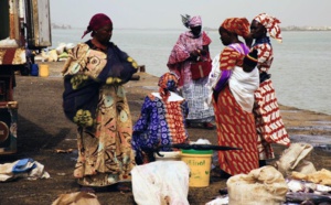 Fipa: Les «Mareyeurs» au Sénégal, moins de poissons, plus d’émigration