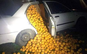 Les voleurs transportaient quatre tonnes d'oranges
