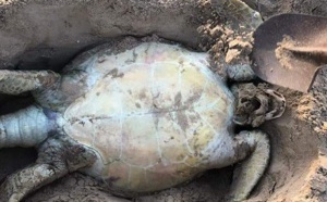 Alerte : Une usine implantée par des Chinois à Abéné en Casamance, accusée de pollution (Photos)