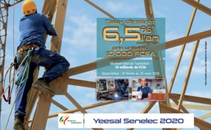 "Plan Yeesal Senelec 2020" : La Sénélec veut mobiliser 30 milliards de FCfa