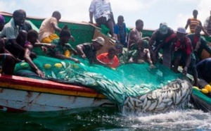 Pêche illégale en Afrique de l'Ouest: La Chine suspend les subventions et retire la licence à des compagnies impliquées
