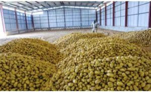 MBANE - Cambriolage de la ferme agricole de Senegindia : 130 millions FCFA emportés