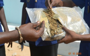 Offre ou cession de drogue : Deux cousins risquent deux ans de prison