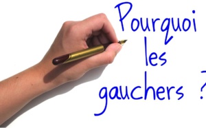 Pourquoi y a-t-il des gauchers ? — Science étonnante #51