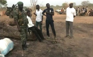 Trafic de bois: le Sénégal exerce un droit de poursuite en Gambie