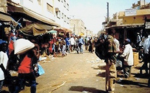 Récensement général de la population sénégalaise en 2011