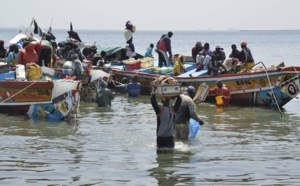 Près de 400 migrants sauvés dans le désert près de l'Algérie