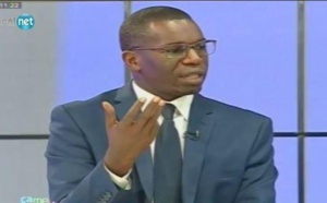 Ibrahima Hamidou Dème : « Si les élections sont transparentes, en aucune manière Macky Sall ne peut obtenir un deuxième mandat »