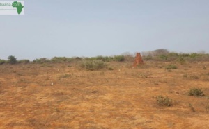 Urgent-Sébikotane: Échauffourées entre les jeunes de l'ASC Darou Salam et l'usine SENAC