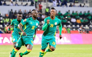 Mondial : financement de la campagne des Lions, 7 milliards d’espoir