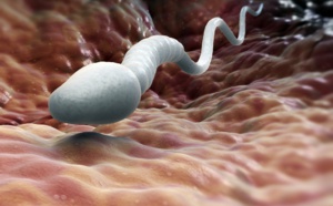 Le sperme est bon pour la santé globale et aide à lutter contre la dépression chez les femmes !!