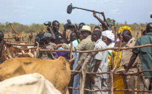Macky Sall fait le bilan des intempéries: 22 992 moutons, 23 300 caprins et 521 bovins perdus
