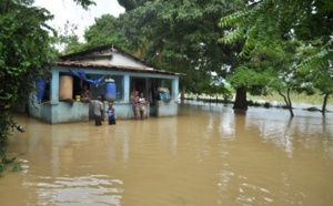 VIDEO - Inondations : Bignona sous les eaux, une vingtaine de familles sinistrées