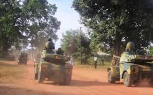 Violents accrochages entre militaires et élément du Mfdc : Encore des morts et des blessés en Casamance
