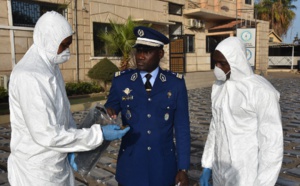 Mbour : 3,2 tonnes de drogue saisies, trois personnes dont une femme arrêtées