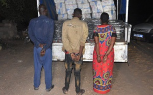 PHOTOS - Saisie record de 3 200 kg de chanvre indien par les gendarmes