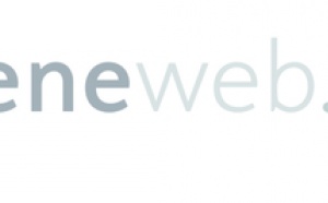 Malgré tout, Seneweb.com reste la référence