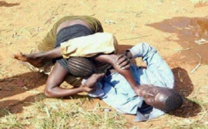 Violence et voie de fait, menace de mort à ascendant : Oumy Diouf écope d'un mois de prison avec sursis
