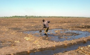 Des chefs d'Etat africains s'engagent à agir pour la sauvegarde du lac Tchad