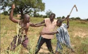 Vélingara Ferlo: un transhumant tué par balle à Bokki Ndar