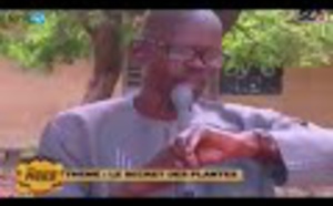 AN NOUR: Thème de la semaine: Le secrets des plantes avec Oustaz Assane Seck
