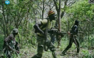 Disparition de 4 personnes dans la forêt en Casamance: les familles interpellent l'Etat