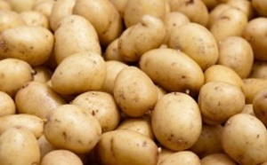 Pomme de terre: Des explications sur la "mauvaise" qualité du produit
